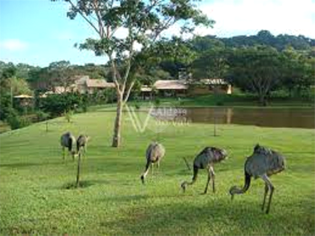 Venda Loteamento Goiânia Residencial Aldeia Do Vale REO878427 8