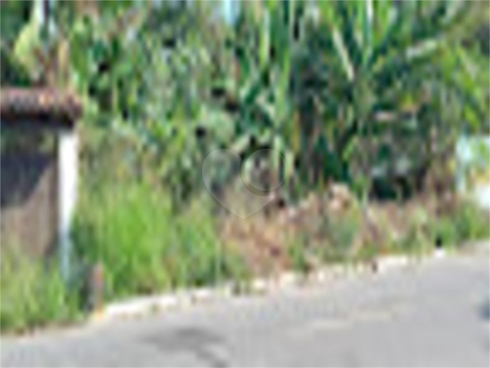 Foto REO878660