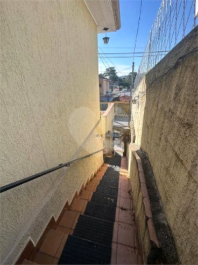Foto REO878735