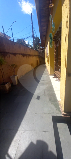 Foto REO878819