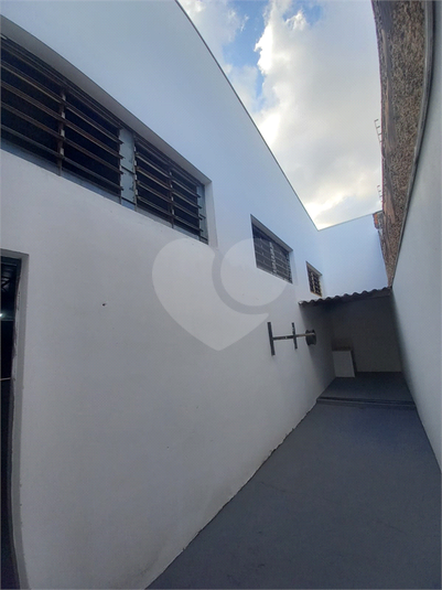 Foto REO878971