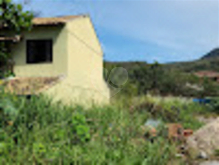Foto REO879029