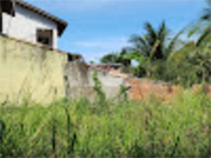 Foto REO879029