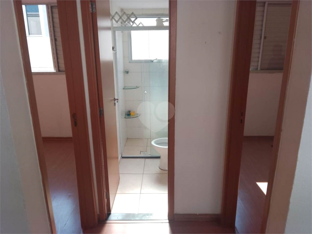 Aluguel Apartamento São Carlos Parque Fehr REO879346 5