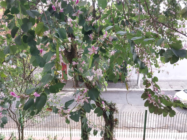 Foto REO879817