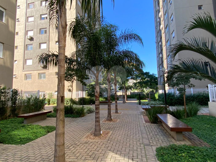 Venda Apartamento Porto Alegre Jardim Carvalho REO880078 26