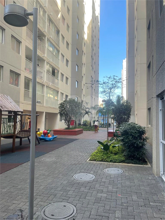 Aluguel Apartamento São Paulo Brás REO880648 1