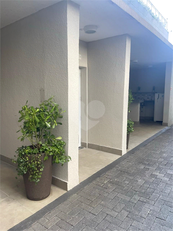 Aluguel Apartamento São Paulo Brás REO880648 23