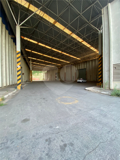 Foto REO880784