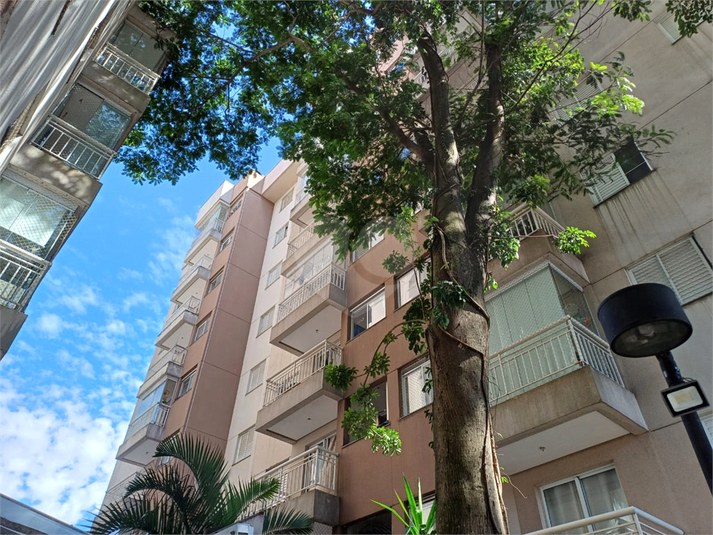 Foto REO880983