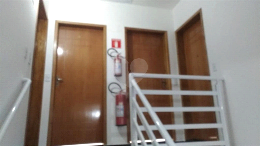 Foto REO881545