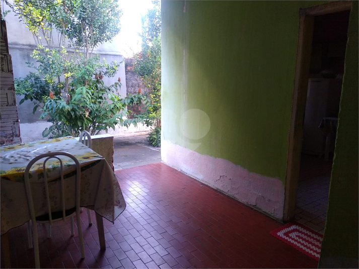 Foto REO881837