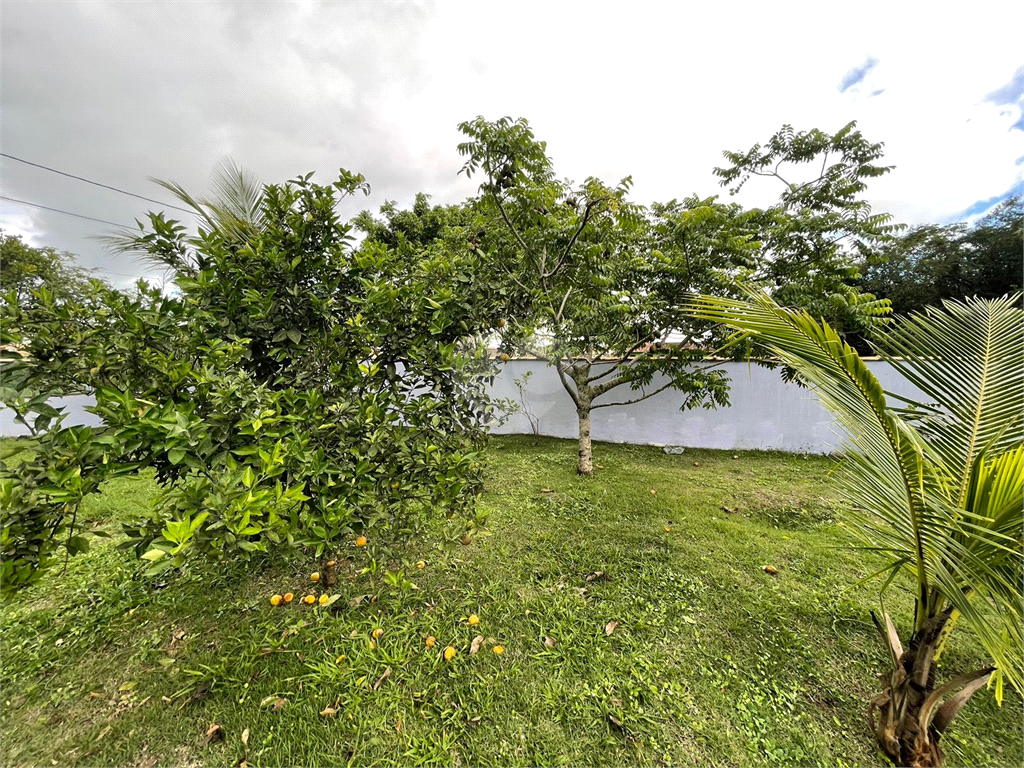 Venda Loteamento Cabo Frio Nova Califórnia (tamoios) REO882037 42