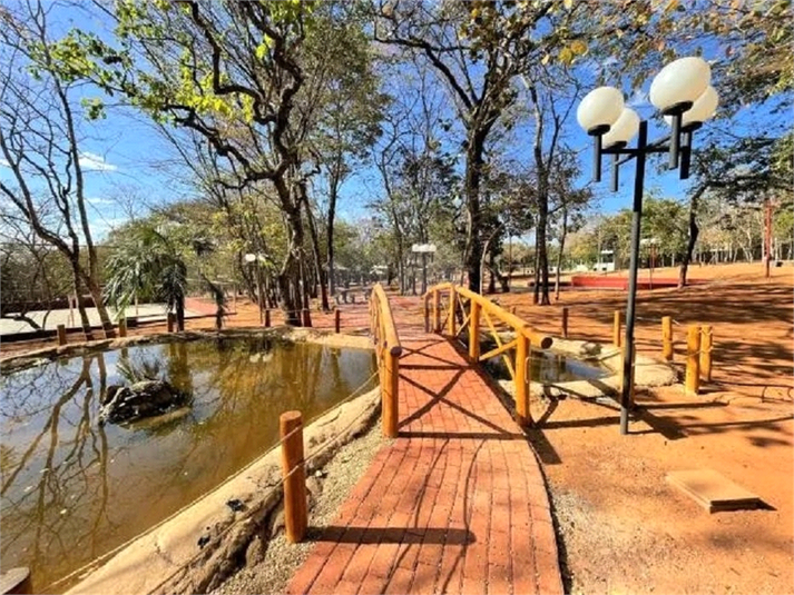 Foto REO882287