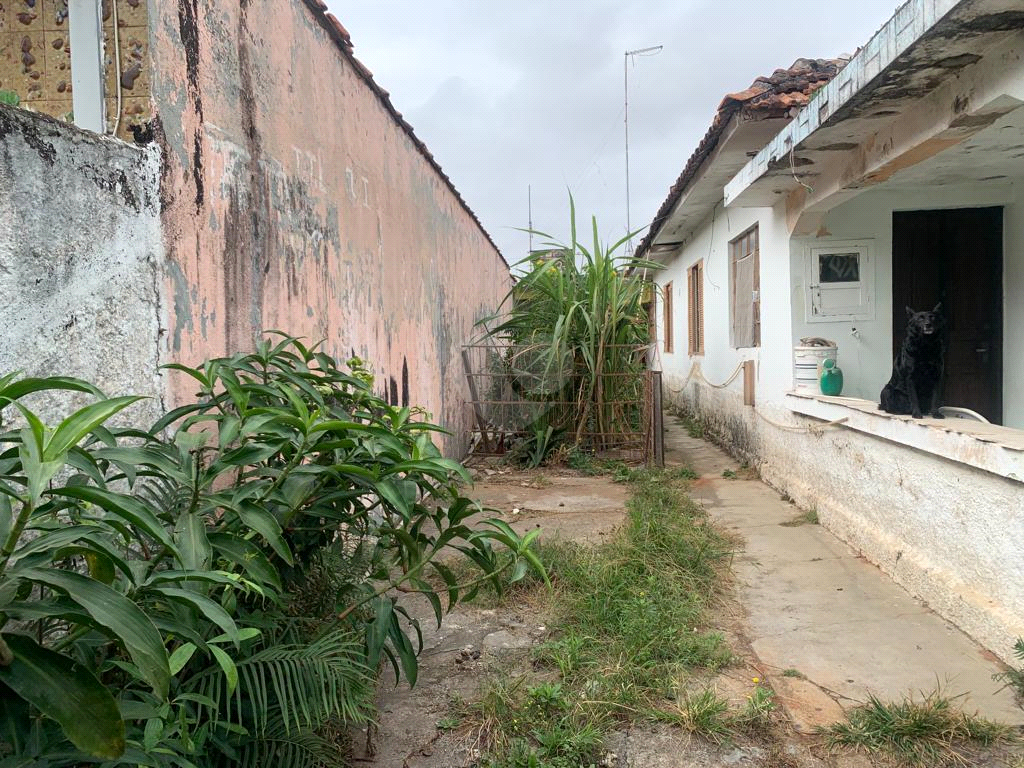 Venda Terreno São Paulo Vila Vessoni REO882357 12