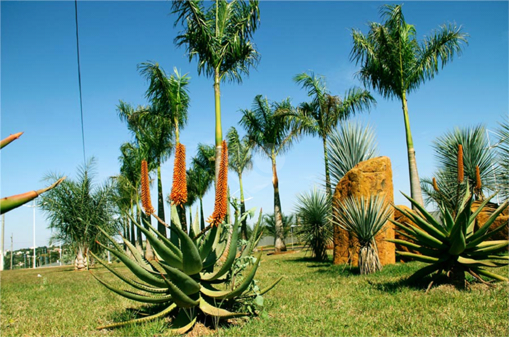 Venda Terreno Limeira Terras De São Bento I REO882454 7