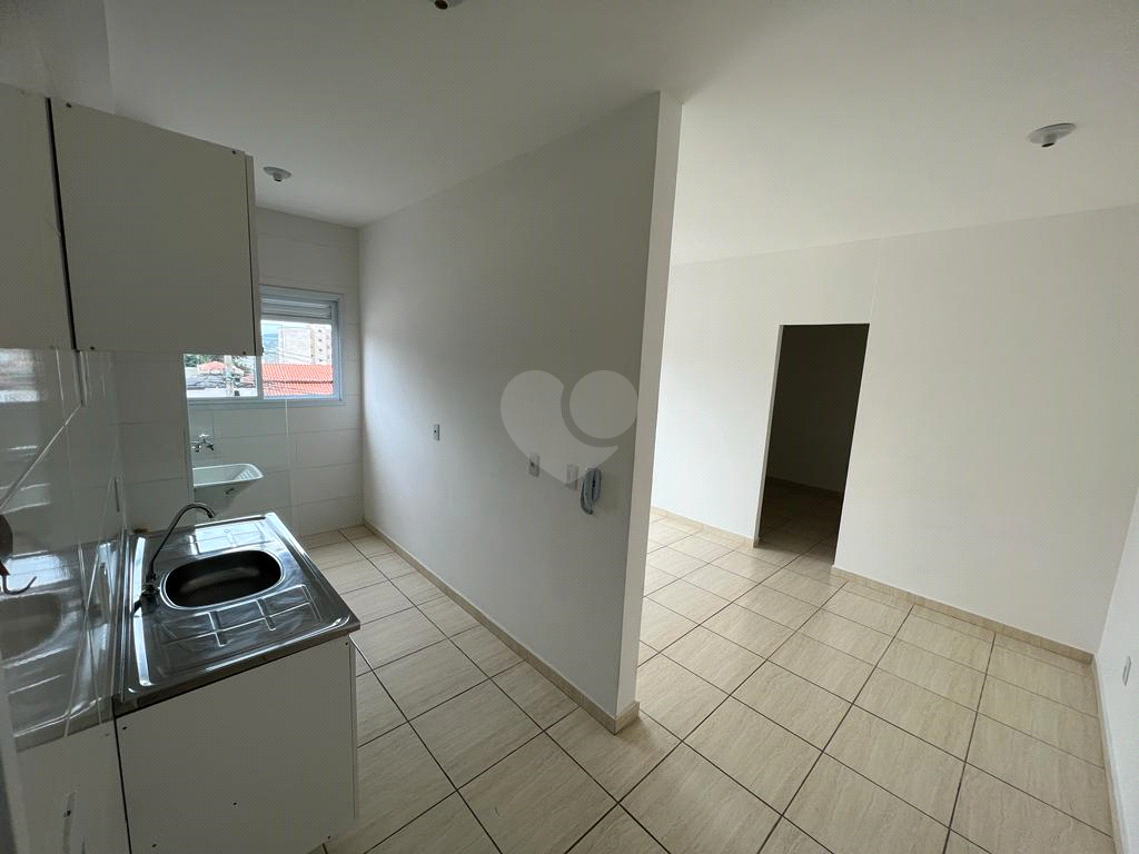 Aluguel Apartamento Sorocaba Jardim Santa Rosália REO882618 1