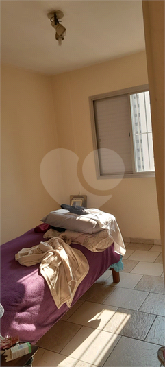 Foto REO882633
