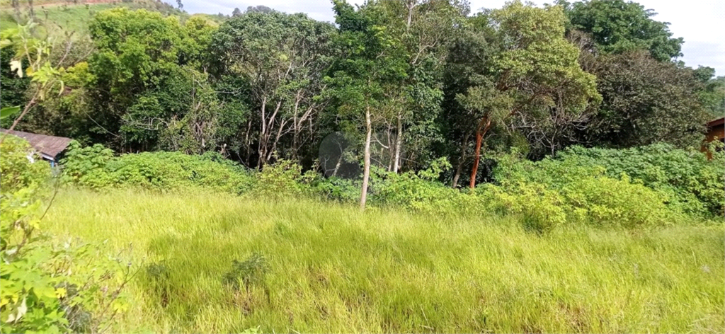 Venda Terreno Jarinu Maracanã REO882638 7