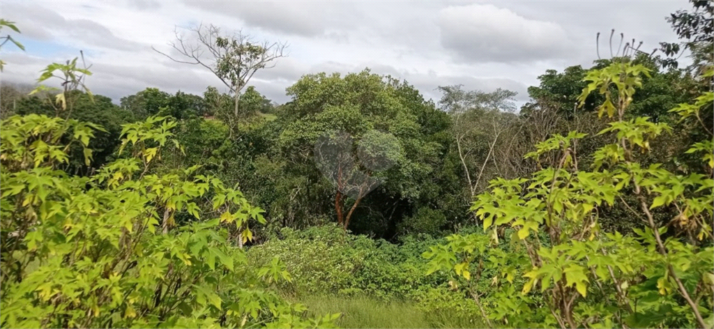 Venda Terreno Jarinu Maracanã REO882638 2