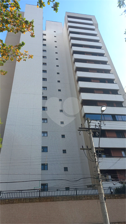 Venda Apartamento Campinas Vila Itapura REO882880 3