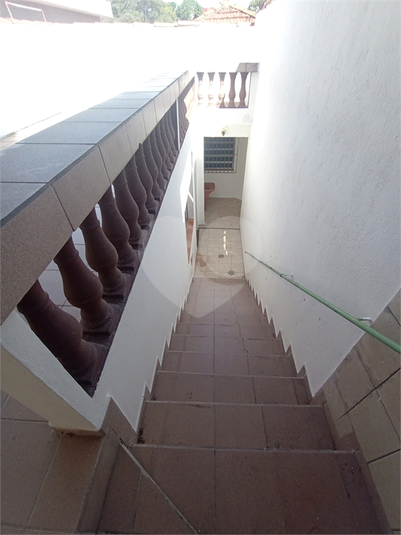 Foto REO882961