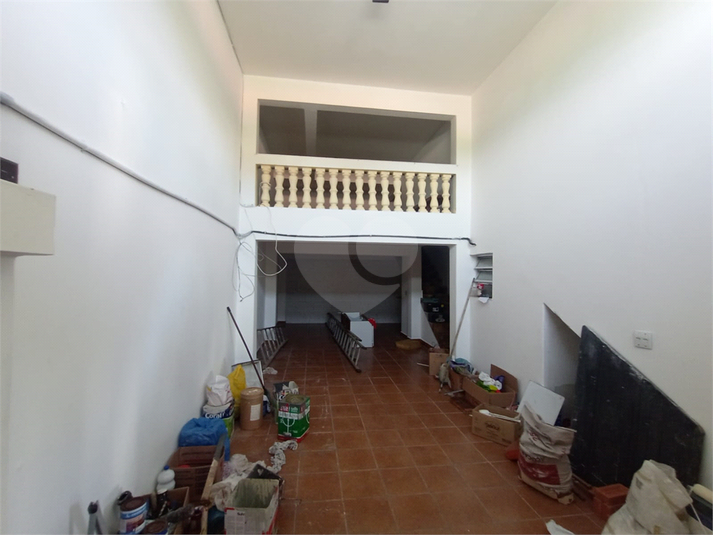 Foto REO882961