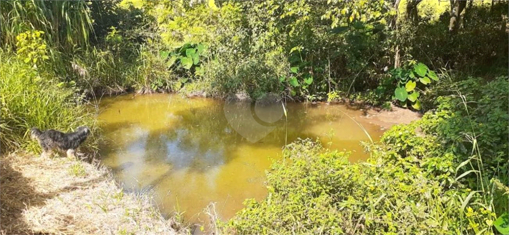 Venda Sítio Bragança Paulista Parque Brasil REO883272 27