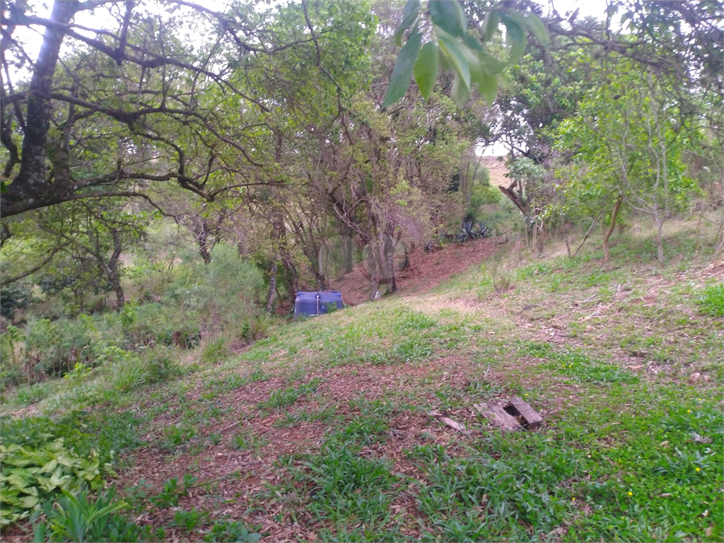 Venda Sítio Bragança Paulista Parque Brasil REO883272 21