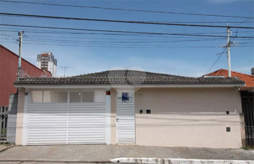 Foto REO883473