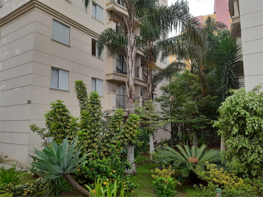 Venda Apartamento São Paulo Jardim Vergueiro (sacomã) REO883545 38