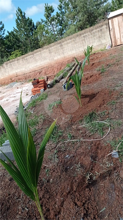 Venda Chácara Jarinu Maracanã REO883689 25