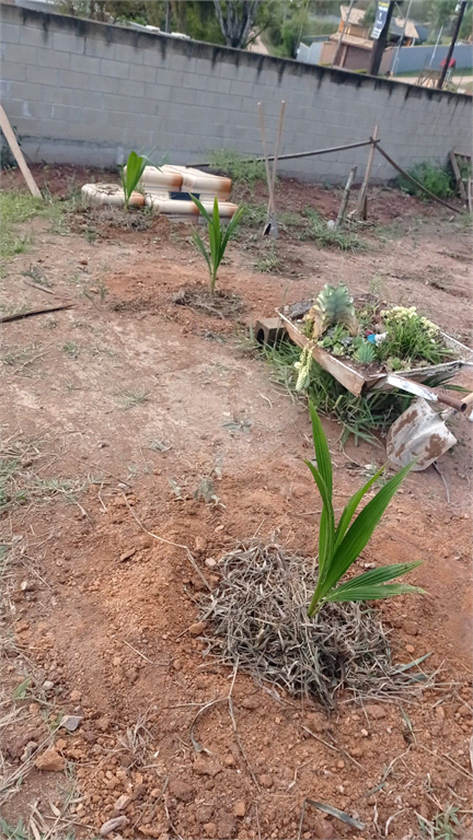 Venda Chácara Jarinu Maracanã REO883689 22