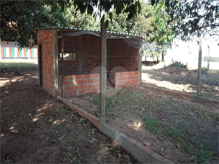 Foto REO883694