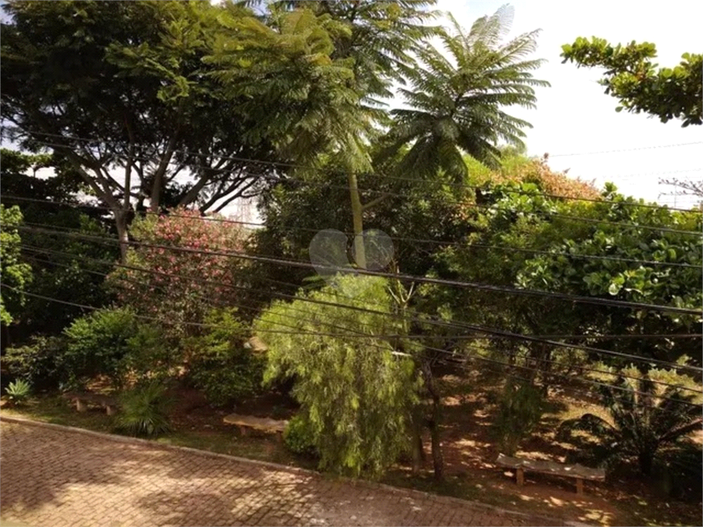 Venda Sobrado Salto Jardim Marília REO883992 15