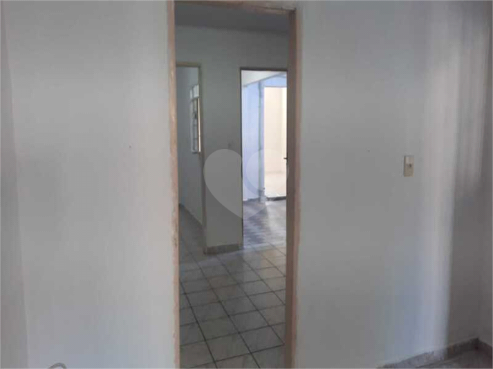 Foto REO884323