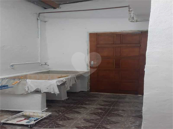 Foto REO884323