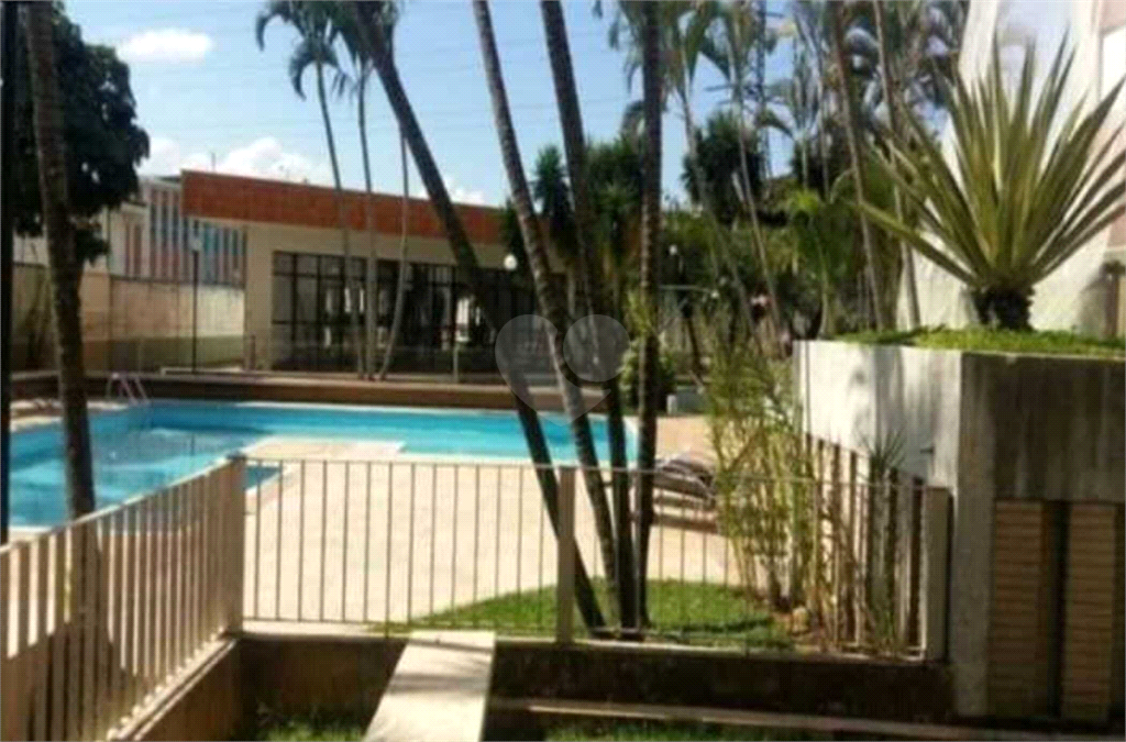 Aluguel Apartamento São José Dos Campos Vila Cardoso REO884408 10