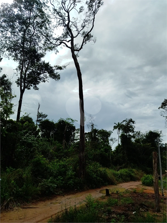 Venda Chácara Cláudia Centro REO884438 3