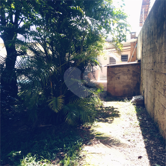 Foto REO884882