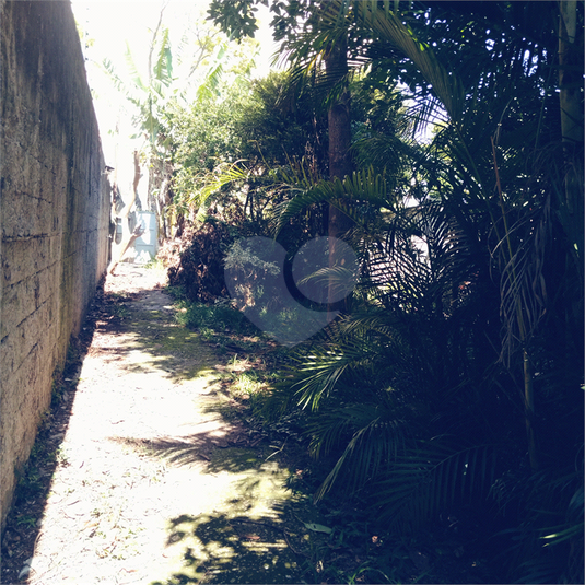Foto REO884882