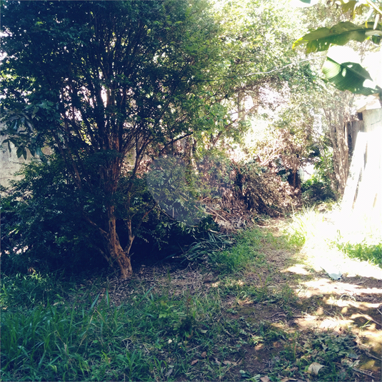 Foto REO884882