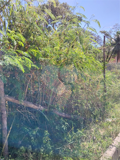 Venda Terreno Rio De Janeiro Campo Grande REO885040 15