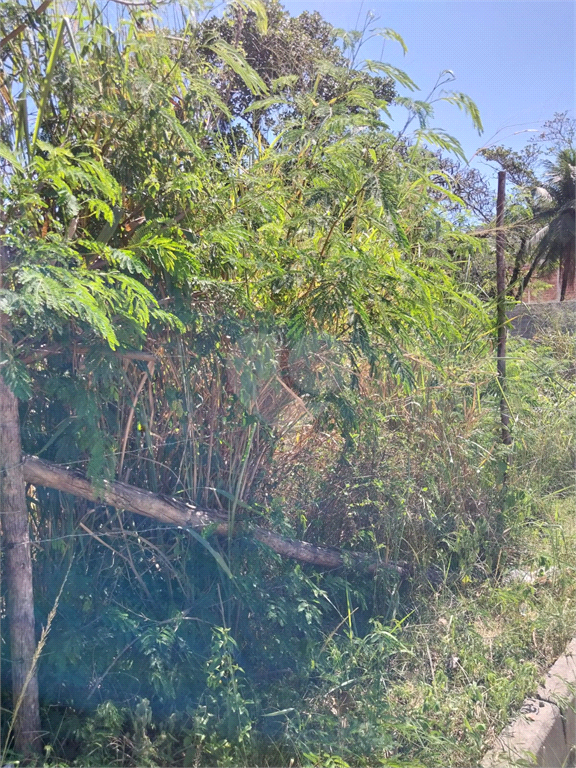 Venda Terreno Rio De Janeiro Campo Grande REO885063 15