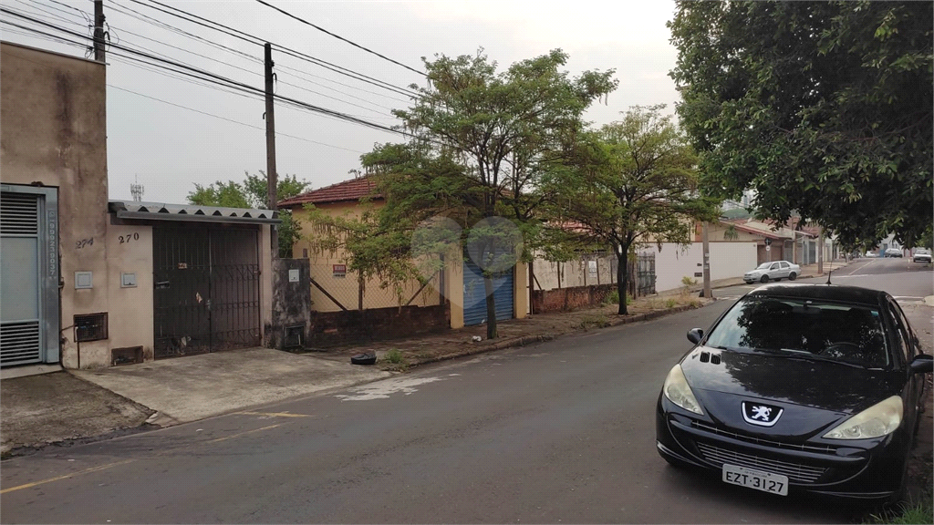 Foto REO885201