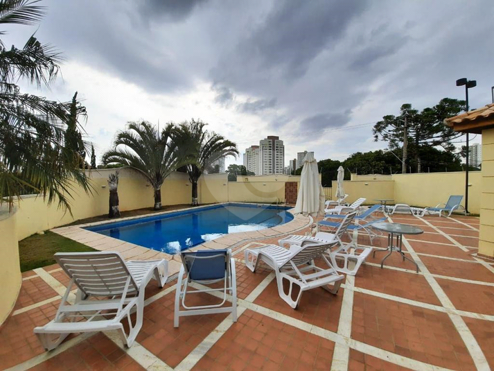 Foto REO885283