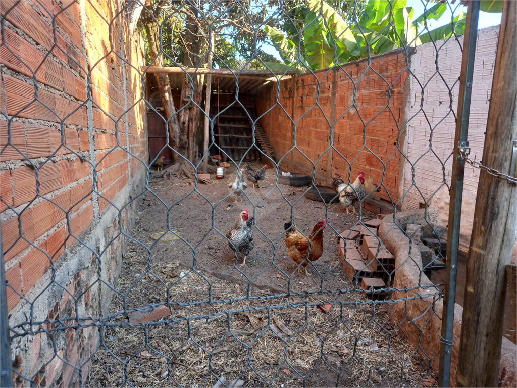 Venda Chácara Campinas Chácaras Cruzeiro Do Sul REO886660 21