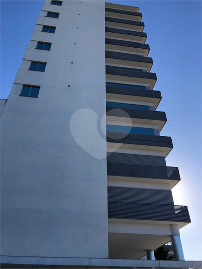 Foto REO886908