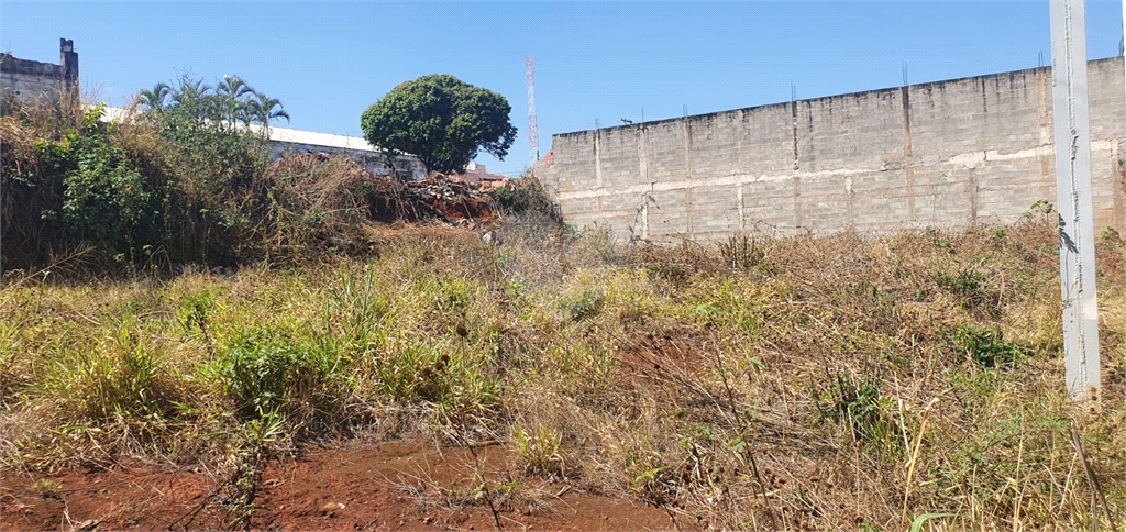 Aluguel Galpão São Carlos Vila Lutfalla REO887026 15