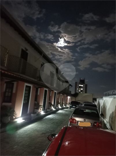 Foto REO887464